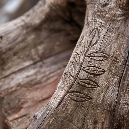 Oriades ゲストハウス Mourésion